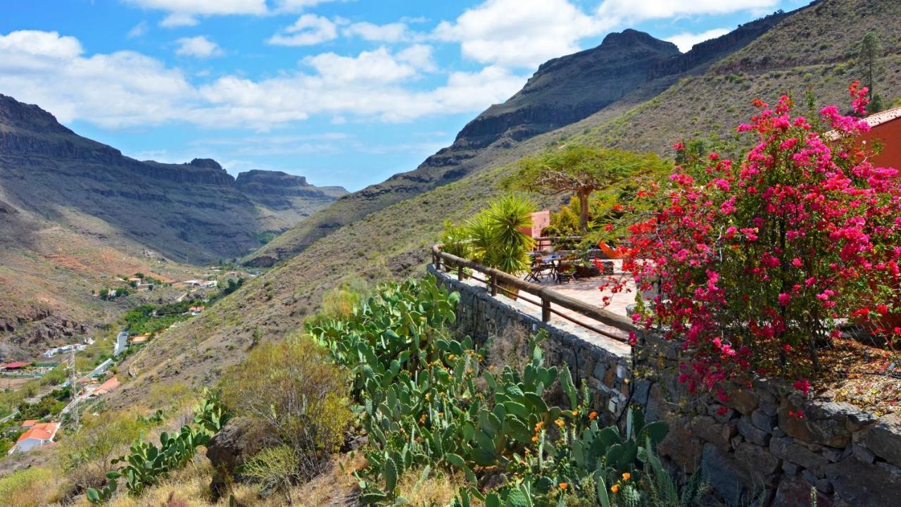 Finca Las Olivas - Unique Country House With Heated Pool Maspalomas  Eksteriør bilde