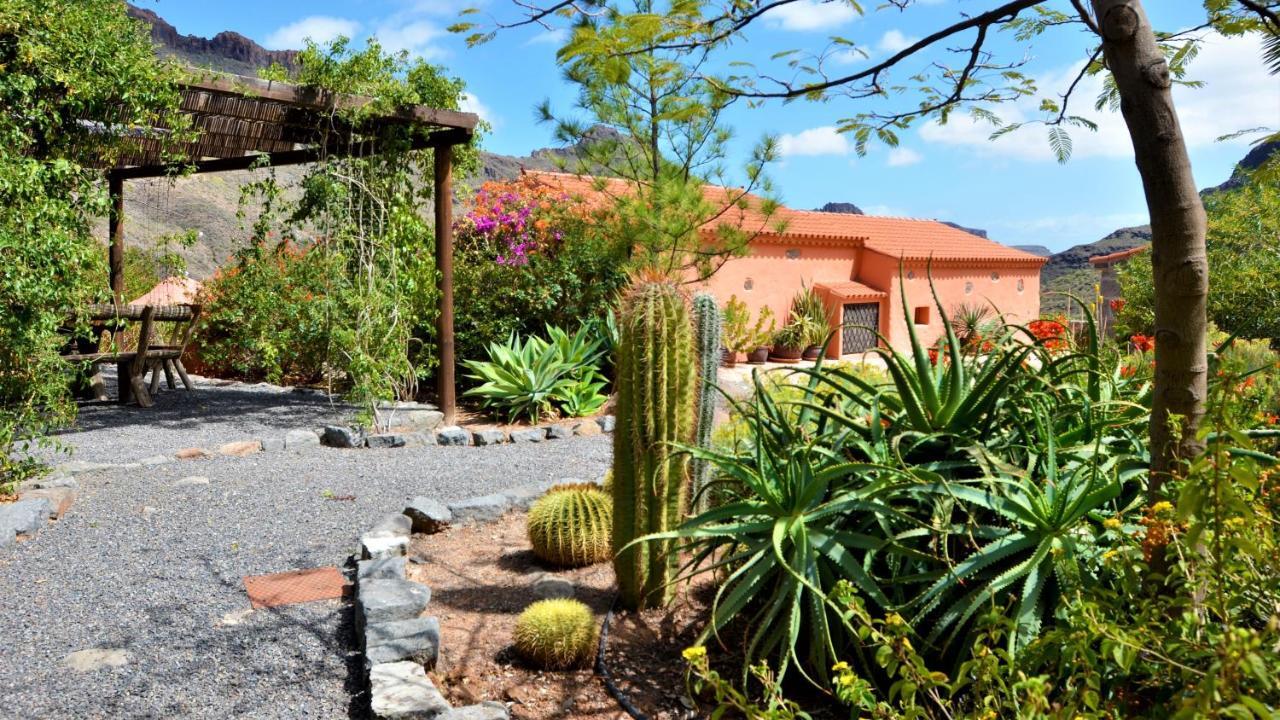 Finca Las Olivas - Unique Country House With Heated Pool Maspalomas  Eksteriør bilde